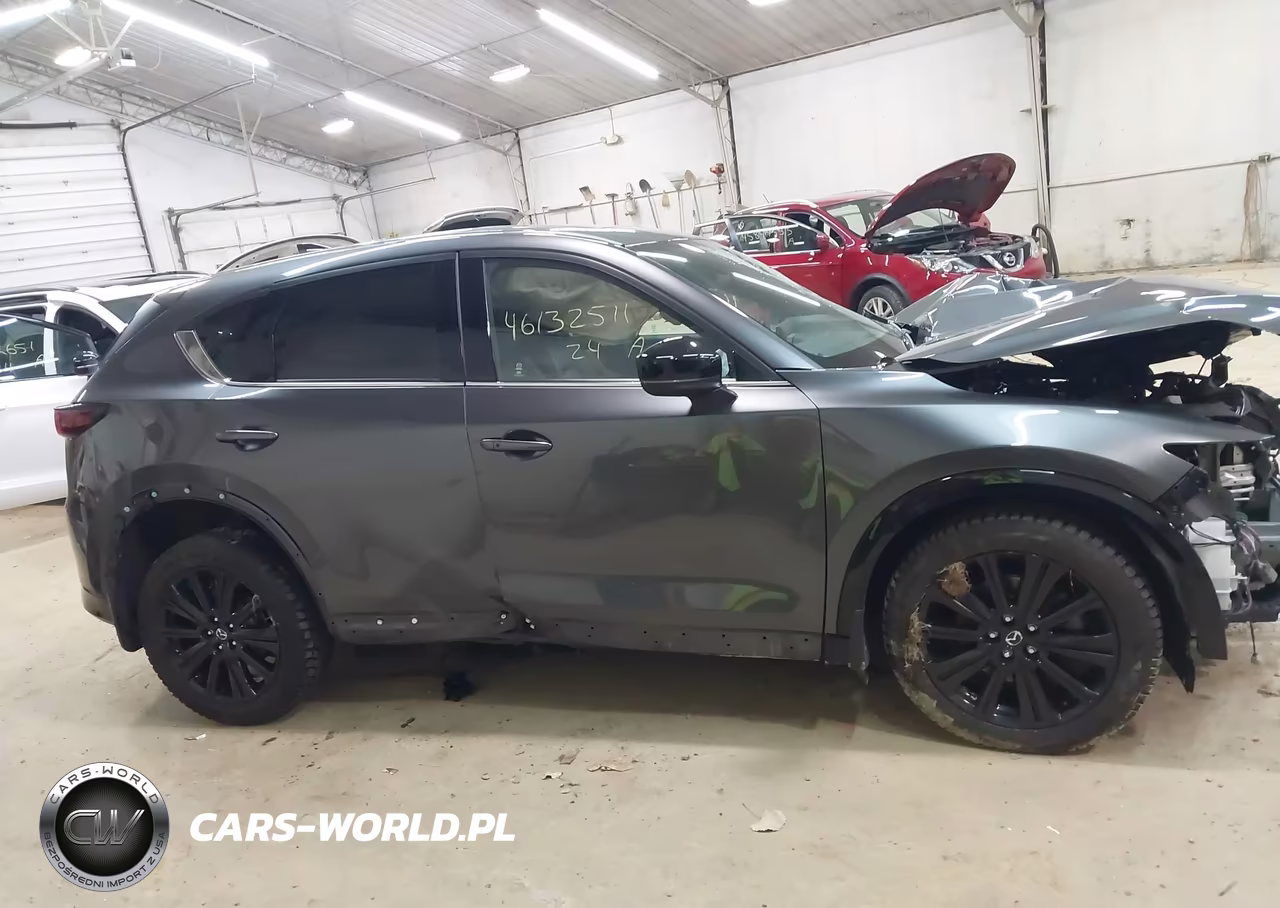 2024 Mazda Cx-5 2.5 Turbo Premium VIN:JM3KFBDY1R0392395 - 14