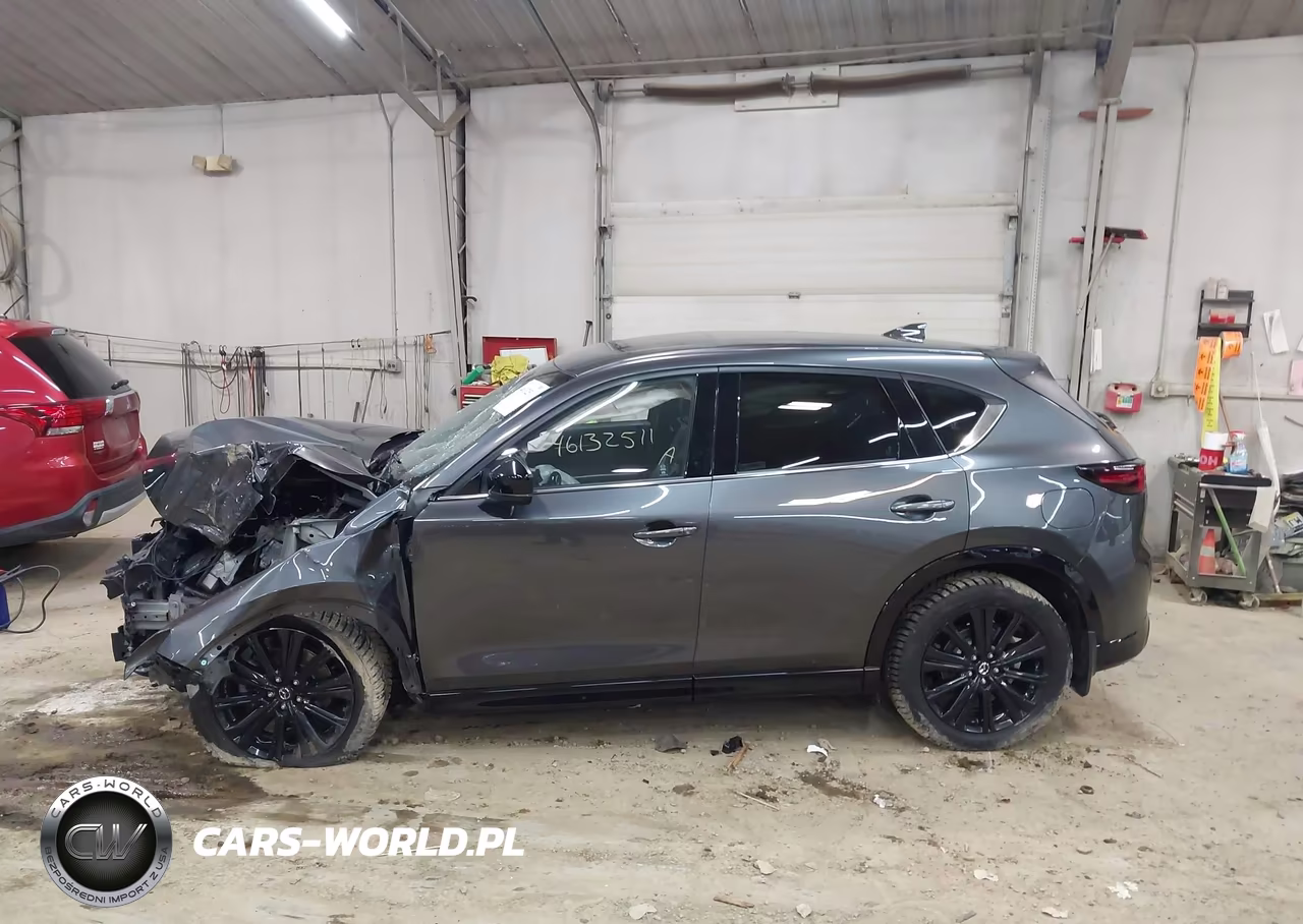 2024 Mazda Cx-5 2.5 Turbo Premium VIN:JM3KFBDY1R0392395 - 15