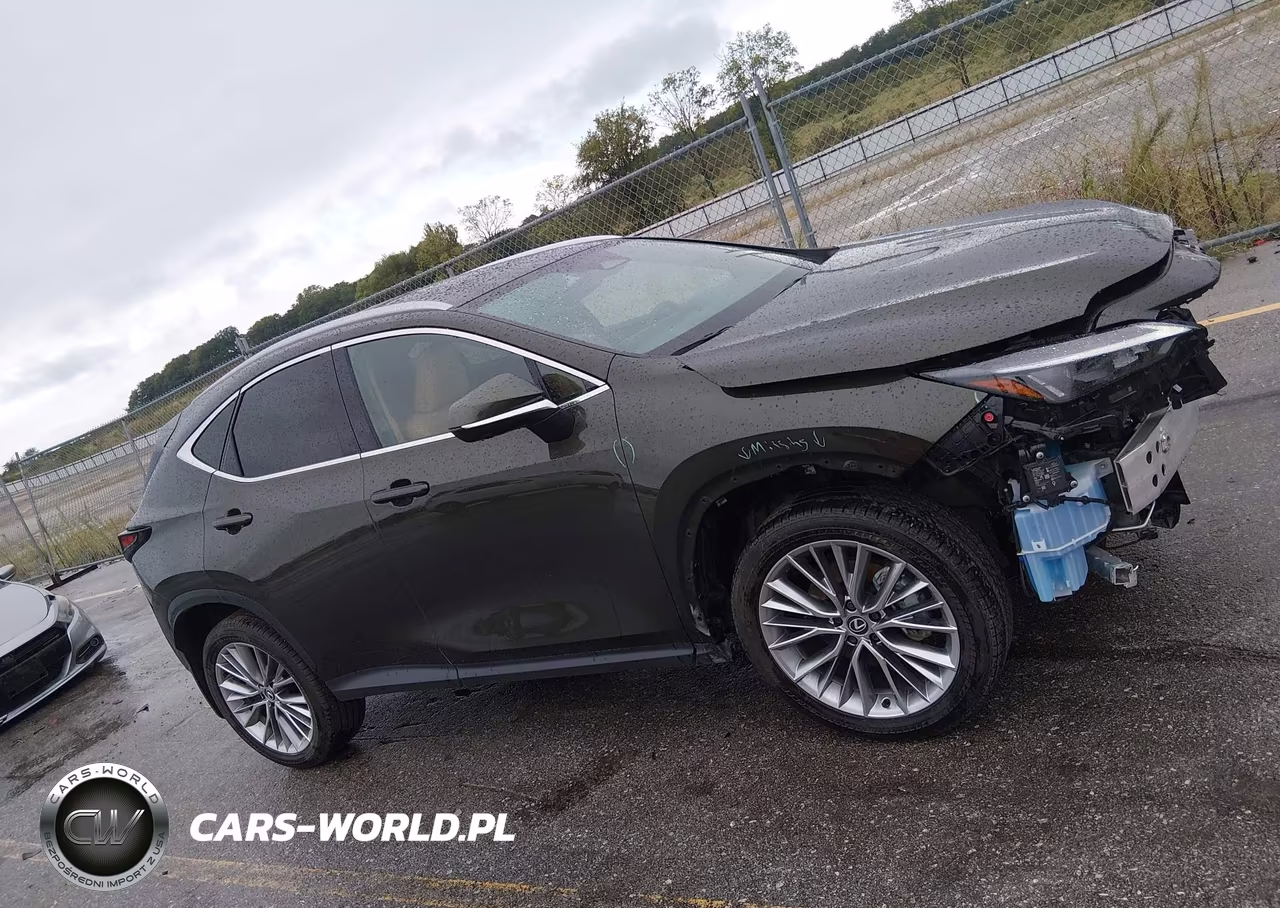 2025 Lexus Nx 350H Premium VIN:2T2GKCEZ9SC053088 - 13