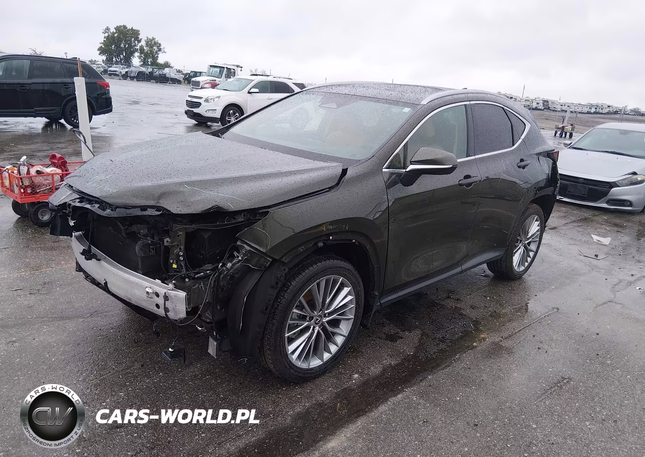 2025 Lexus Nx 350H Premium VIN:2T2GKCEZ9SC053088 - 2