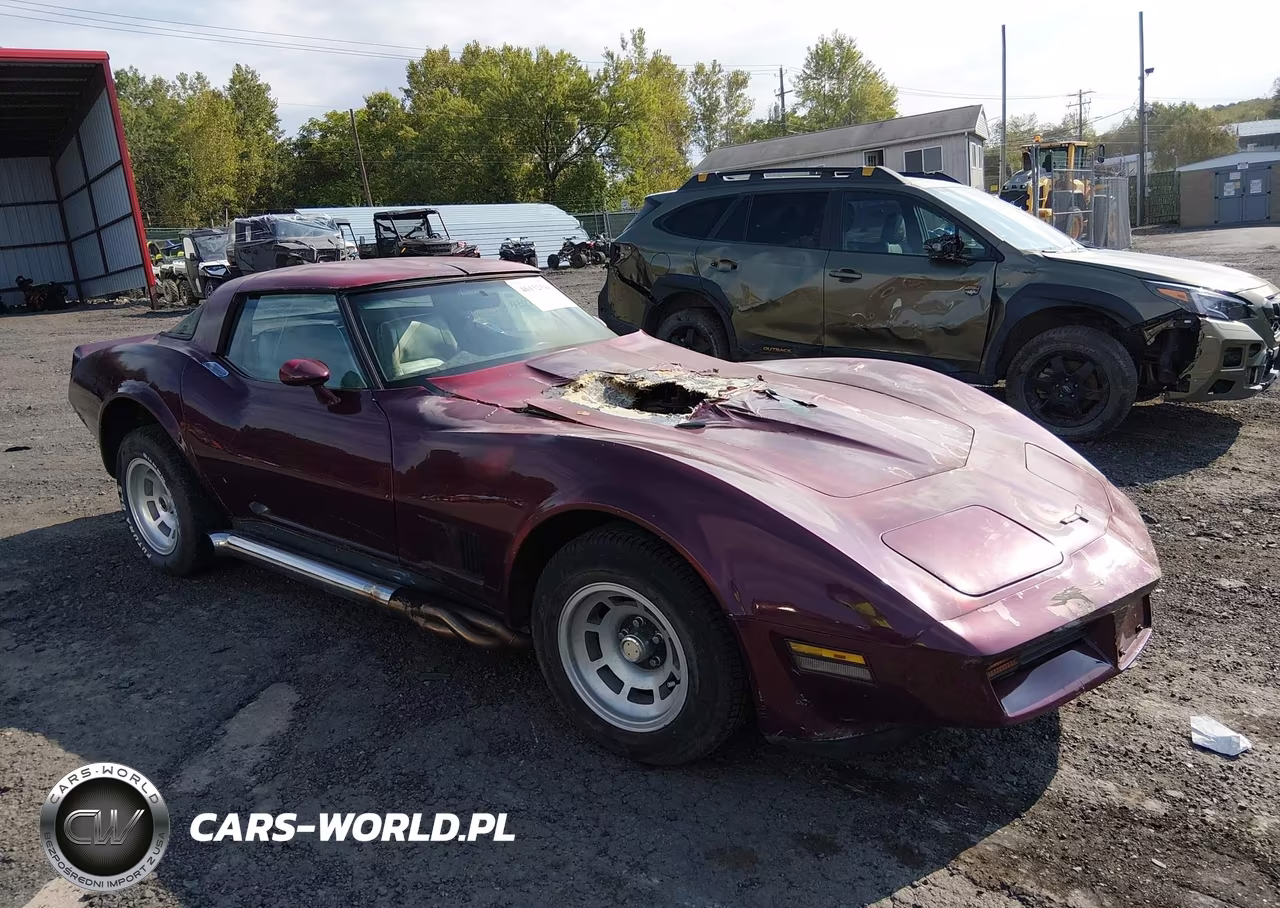 1981 Chevrolet Corvette VIN:1G1AY8764B5101837 - 1