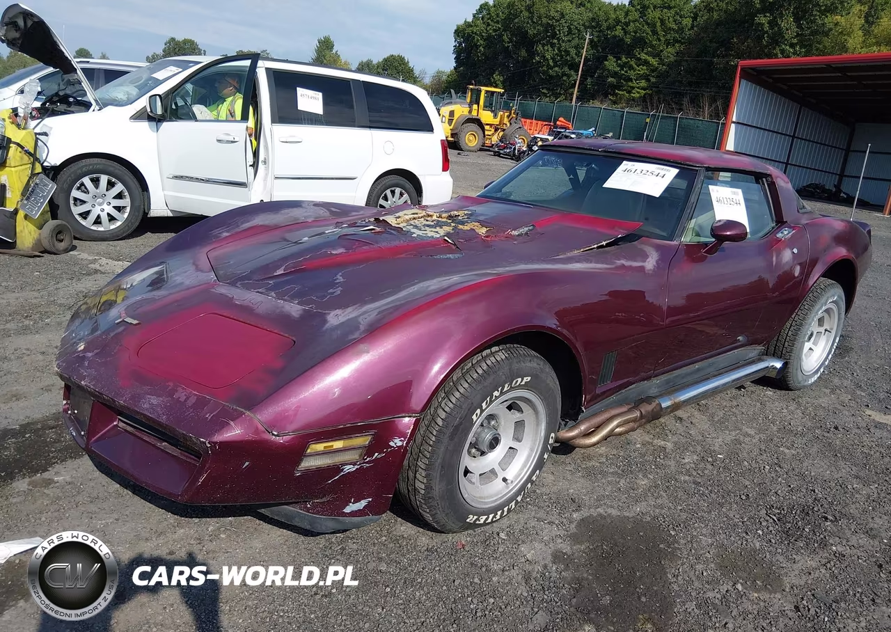 1981 Chevrolet Corvette VIN:1G1AY8764B5101837 - 2