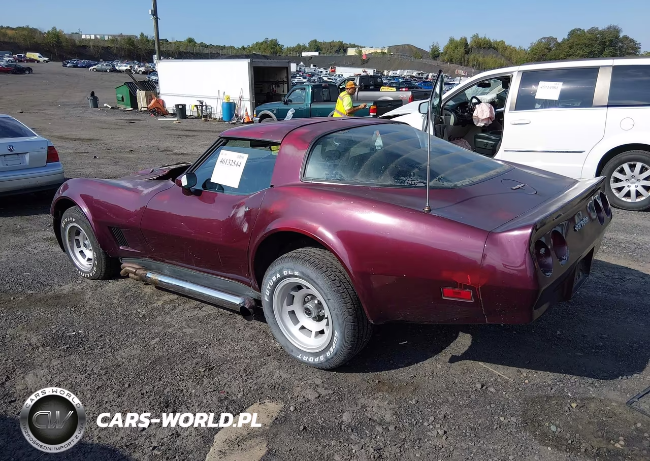 1981 Chevrolet Corvette VIN:1G1AY8764B5101837 - 3