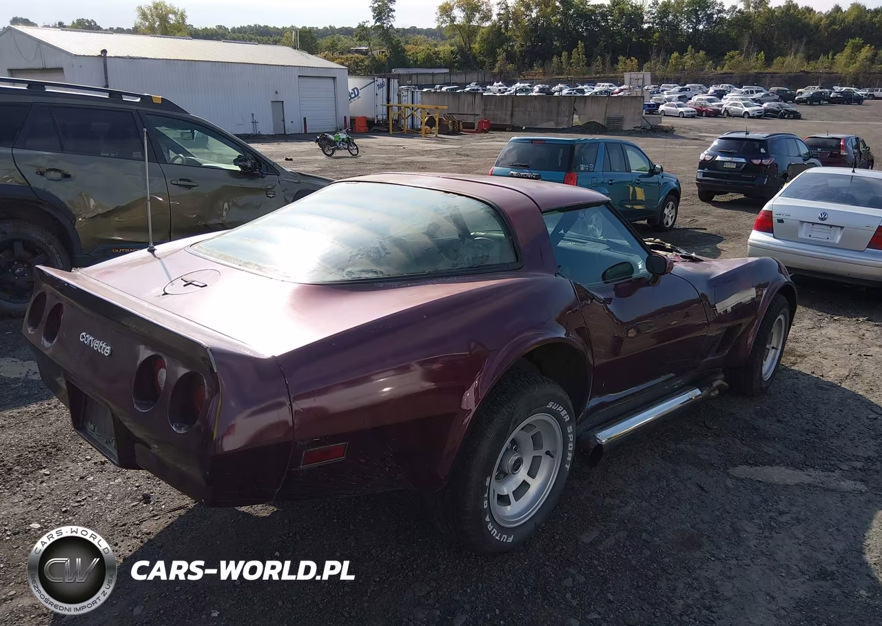 1981 Chevrolet Corvette VIN:1G1AY8764B5101837 - 4