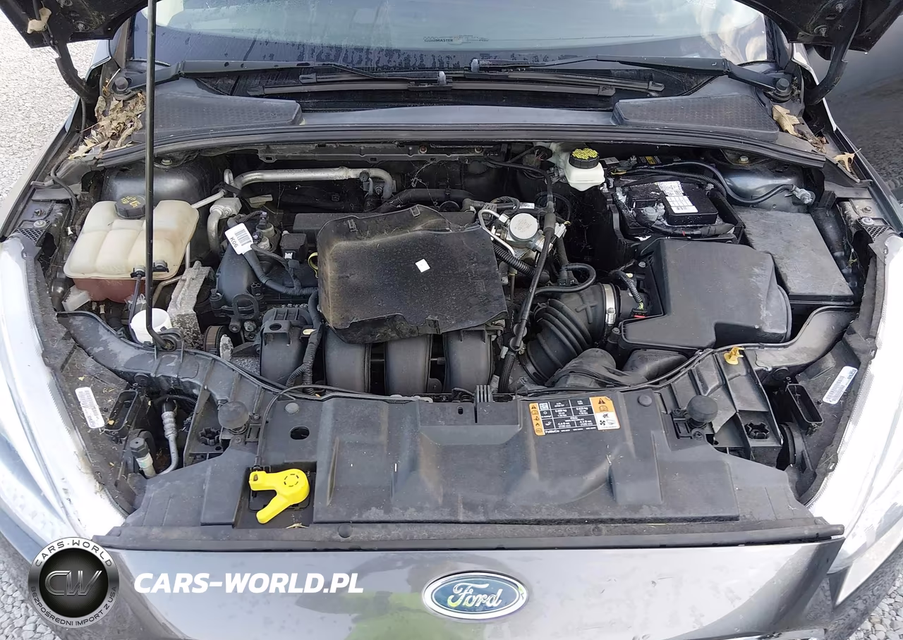 2017 Ford Focus Se VIN:1FADP3K2XHL268423 - 10