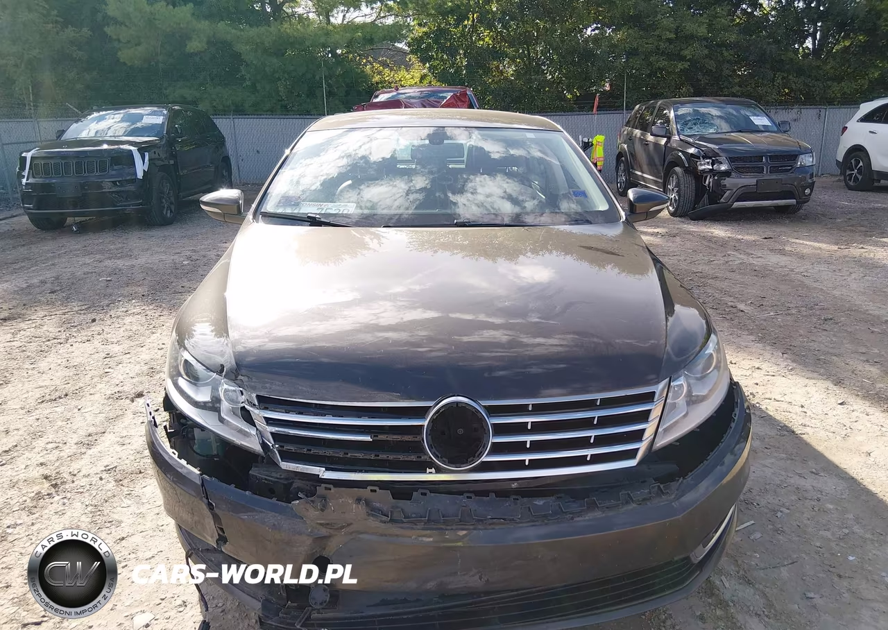 2013 Volkswagen Cc 2.0T Sport VIN:WVWBP7AN0DE562688 - 13