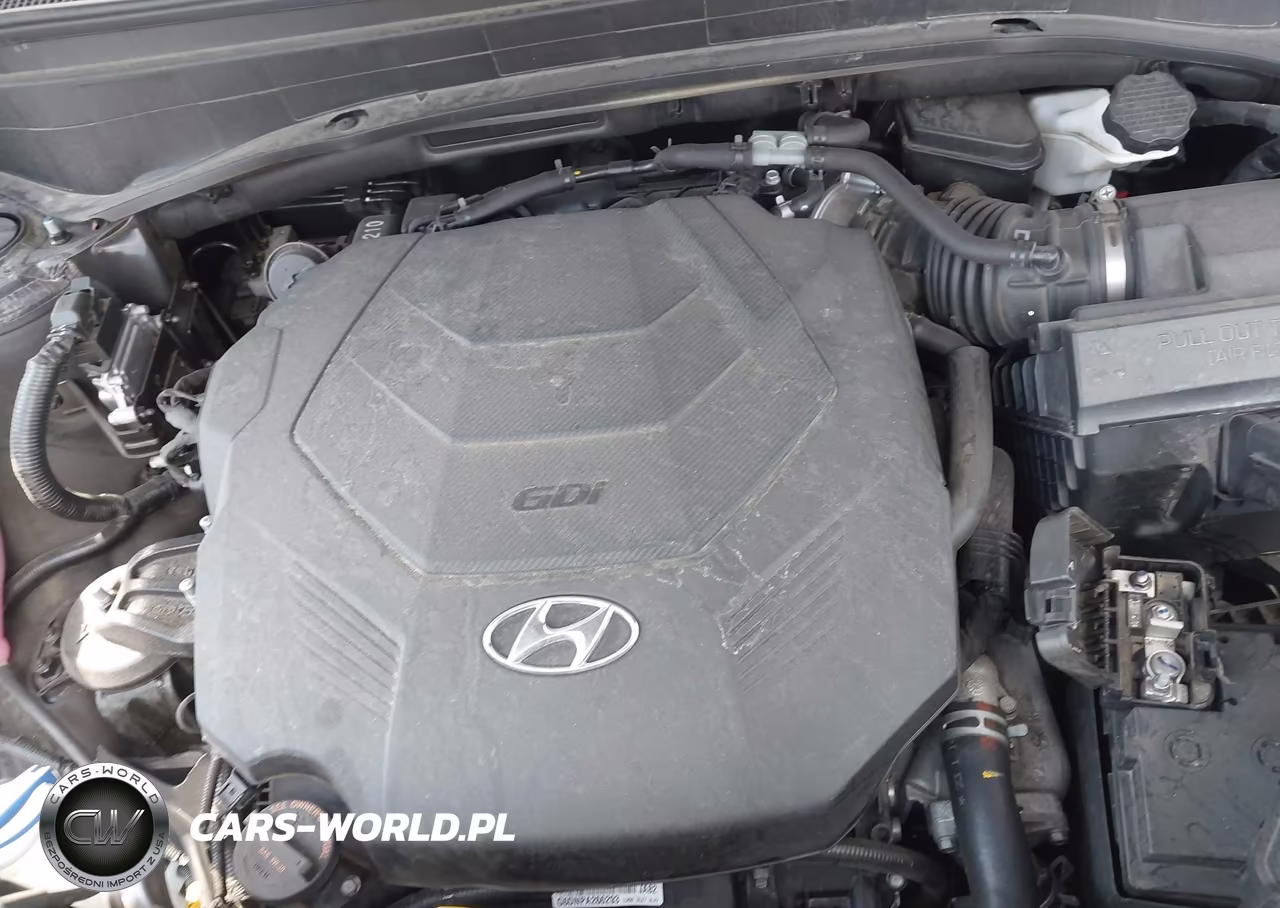 2024 Hyundai Palisade Calligraphy VIN:KM8R7DGE3RU695622 - 10