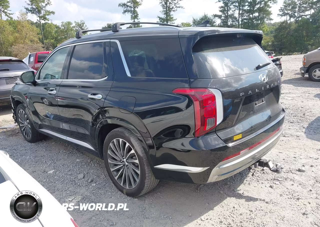 2024 Hyundai Palisade Calligraphy VIN:KM8R7DGE3RU695622 - 3