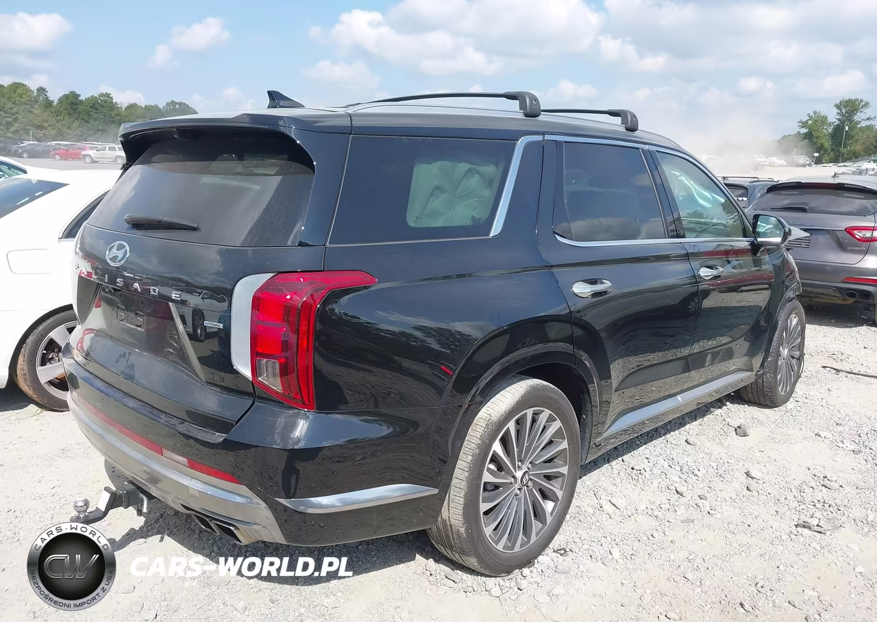 2024 Hyundai Palisade Calligraphy VIN:KM8R7DGE3RU695622 - 4