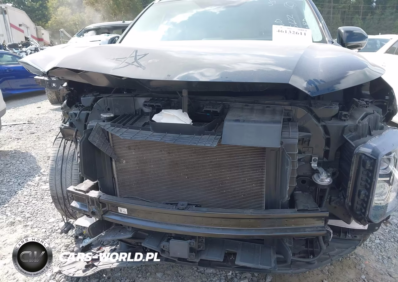 2024 Hyundai Palisade Calligraphy VIN:KM8R7DGE3RU695622 - 6