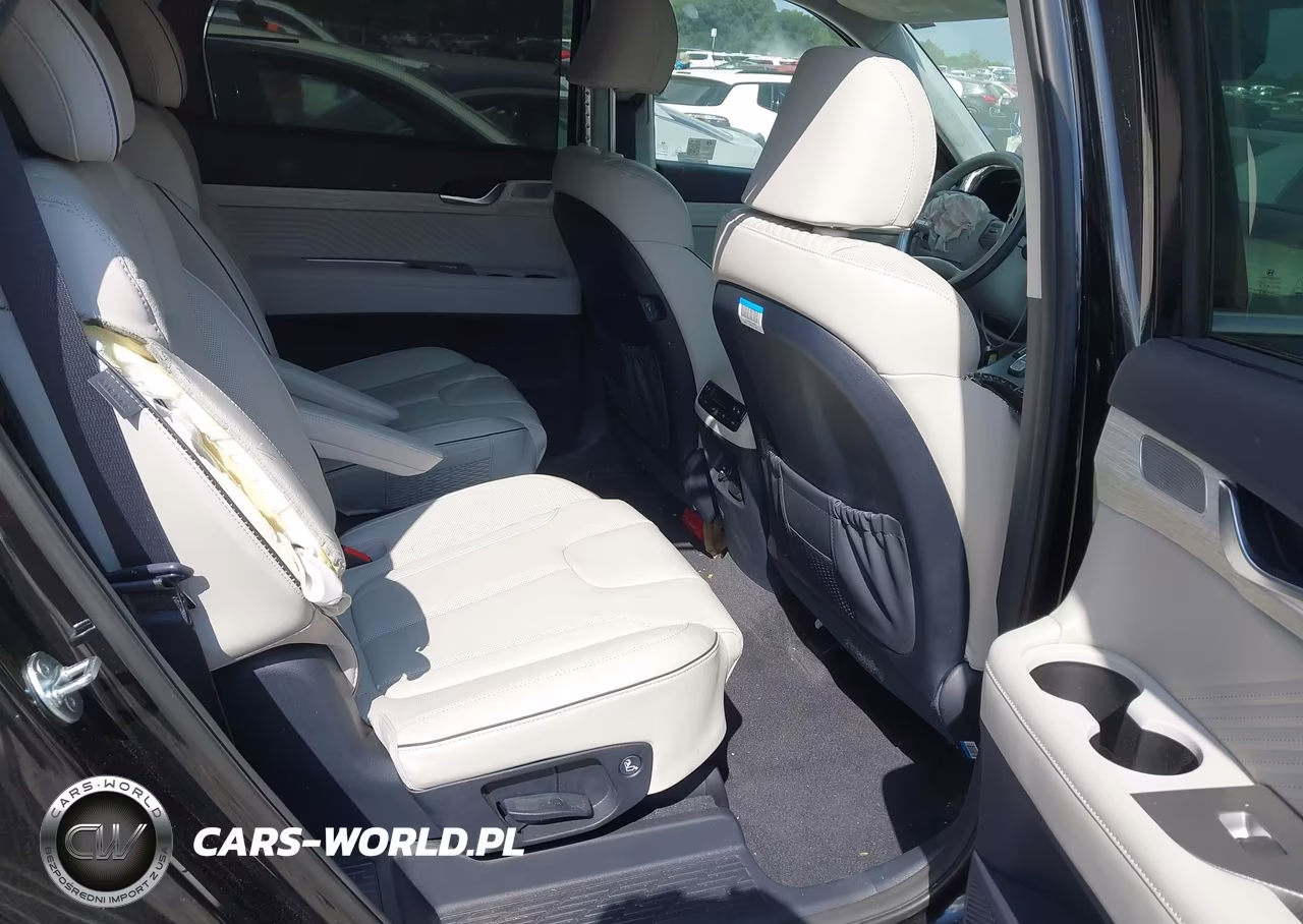 2024 Hyundai Palisade Calligraphy VIN:KM8R7DGE3RU695622 - 8