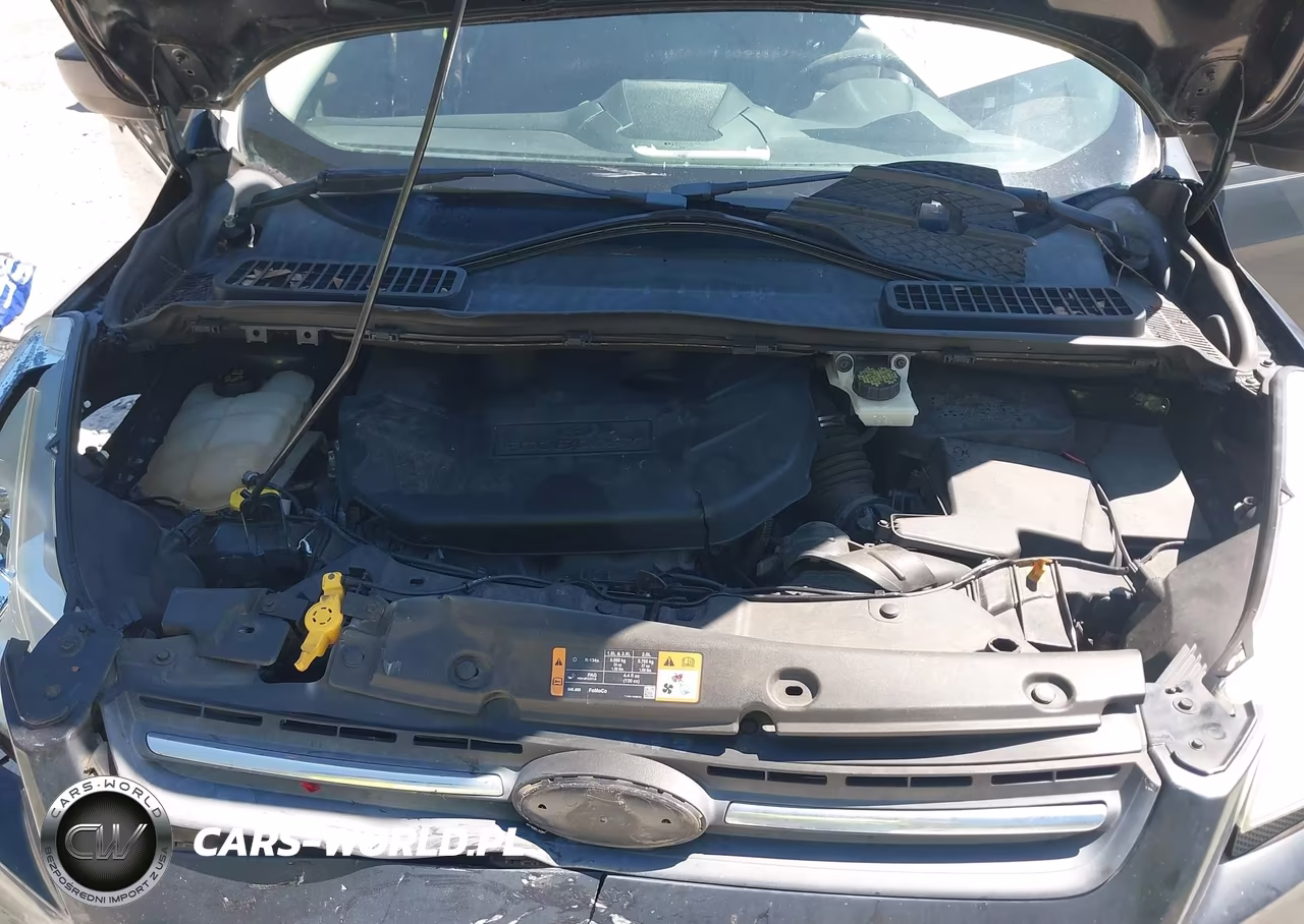 2014 Ford Escape Se VIN:1FMCU0G99EUD06342 - 10