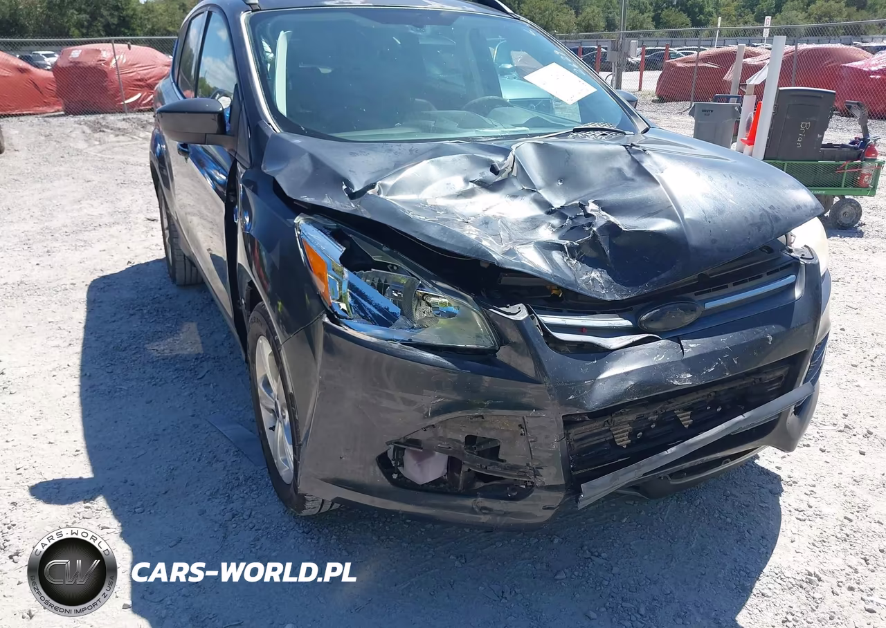 2014 Ford Escape Se VIN:1FMCU0G99EUD06342 - 6