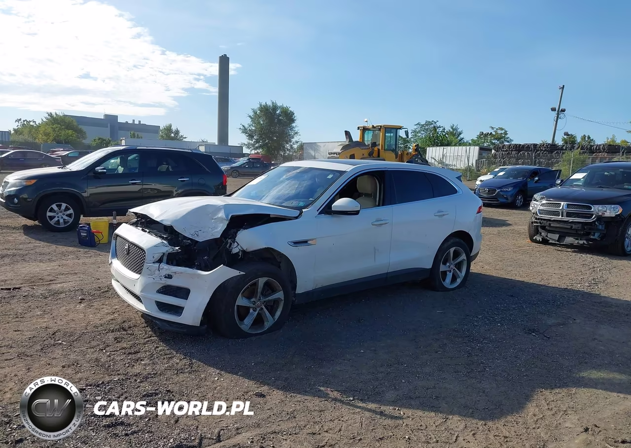 2020 Jaguar F-Pace Premium P250 Awd Automatic VIN:SADCJ2FX1LA624726 - 2