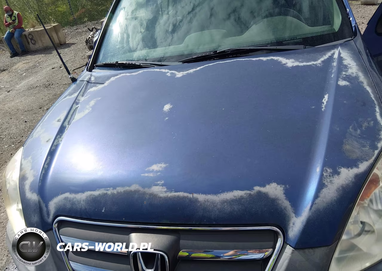 2005 Honda Cr-V Lx VIN:JHLRD78555C019933 - 10