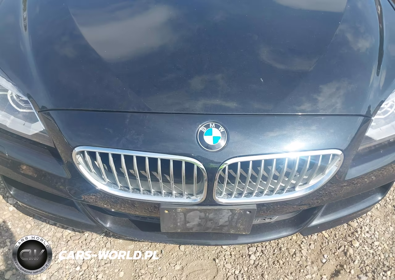 2014 BMW 650I VIN:WBAYP9C59ED169490 - 10