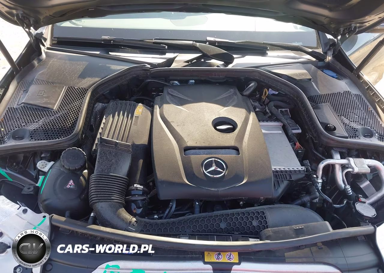 2018 Mercedes-Benz C 300 VIN:55SWF4JB6JU278810 - 10