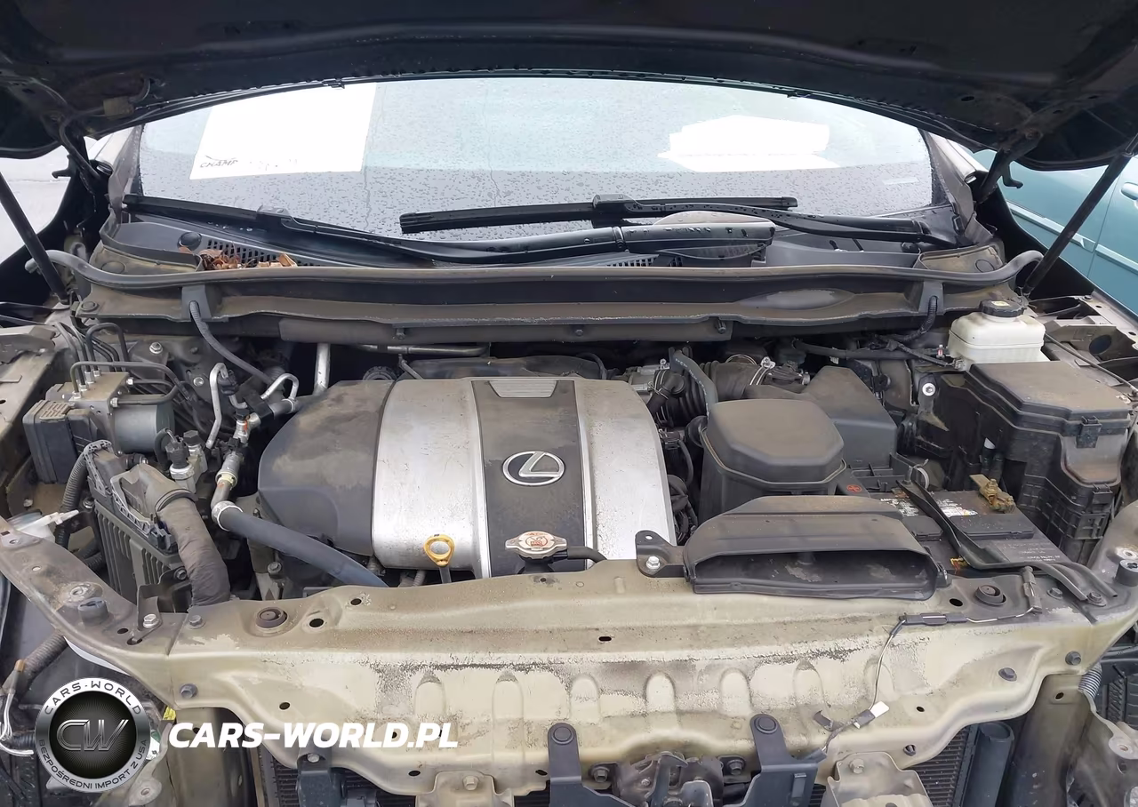 2020 Lexus Rx 350 F Sport VIN:2T2SZMDA8LC253923 - 10