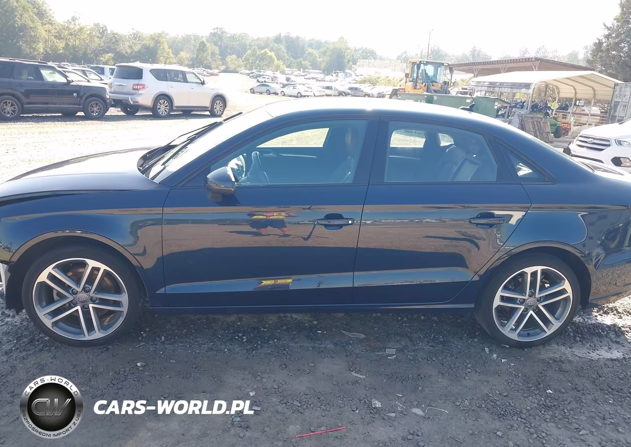 2020 Audi A3 Premium Plus 40 Tfsi Front-Wheel Drive S Tronic VIN:WAUCUGFF3LA101907 - 15
