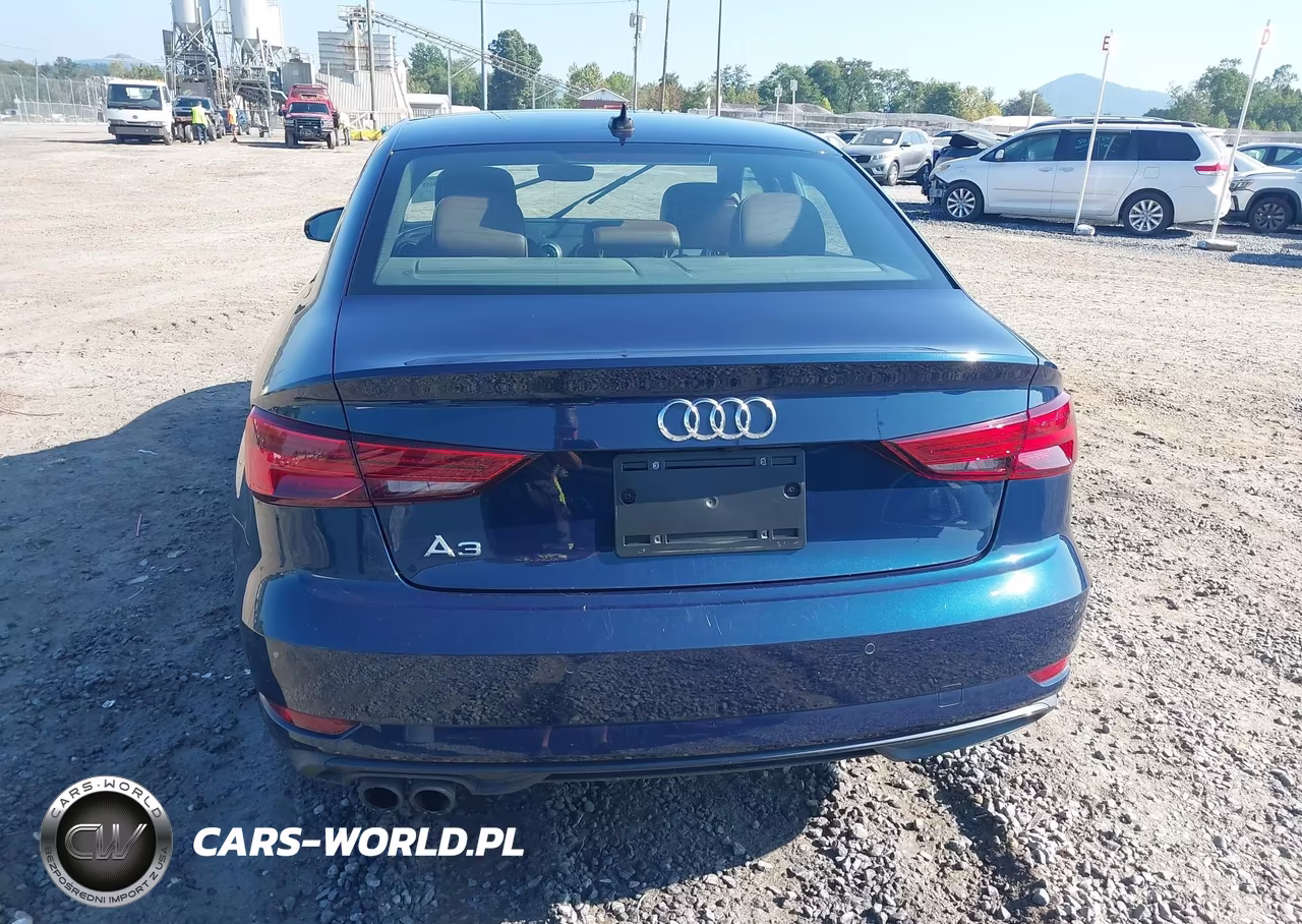 2020 Audi A3 Premium Plus 40 Tfsi Front-Wheel Drive S Tronic VIN:WAUCUGFF3LA101907 - 17