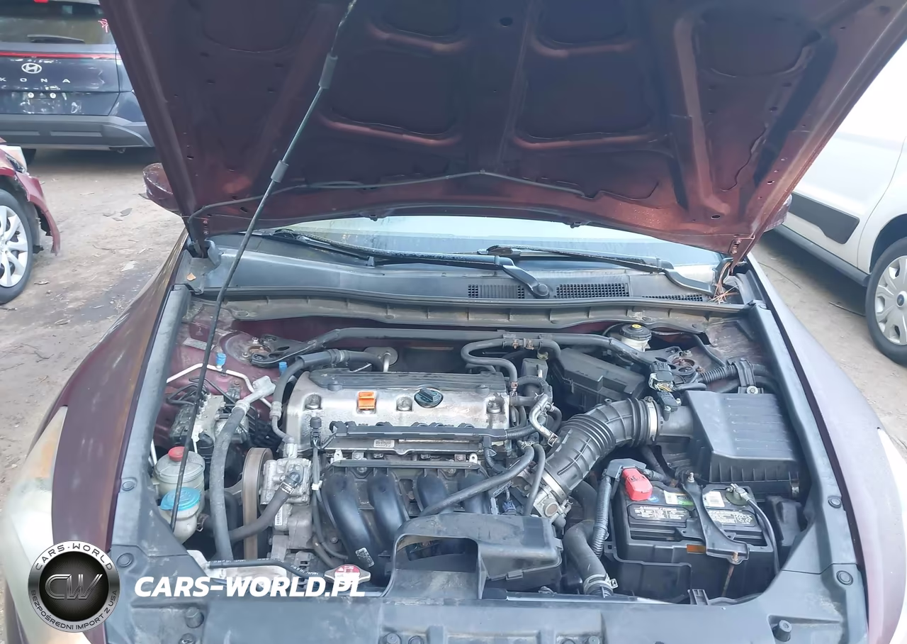 2010 Honda Accord 2.4 Ex VIN:1HGCP2F72AA176263 - 10