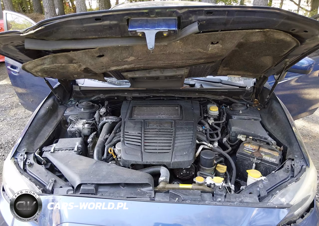 2015 Subaru Wrx Limited VIN:JF1VA1J68F9833745 - 10