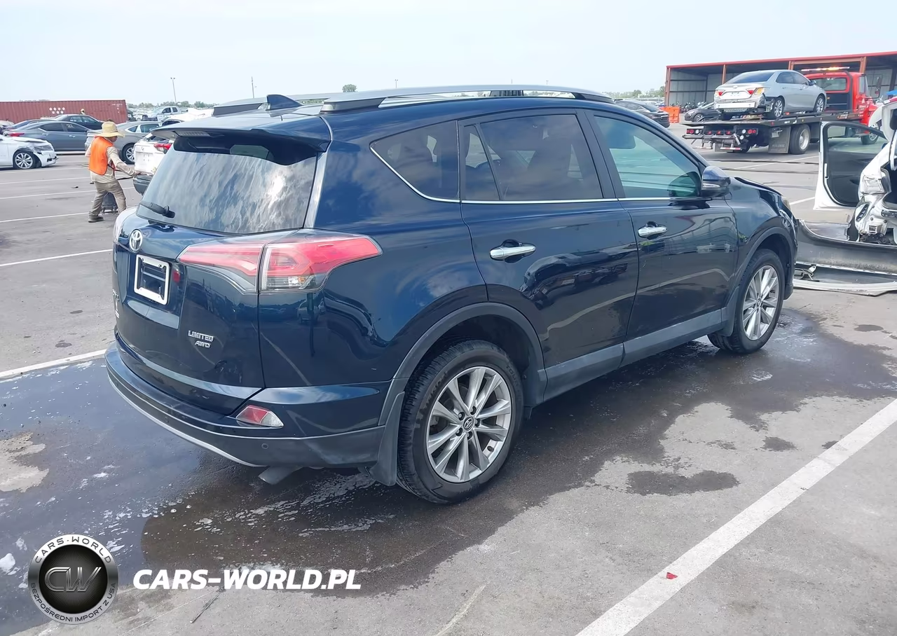 2017 Toyota Rav4 Limited VIN:2T3DFREV5HW579132 - 4