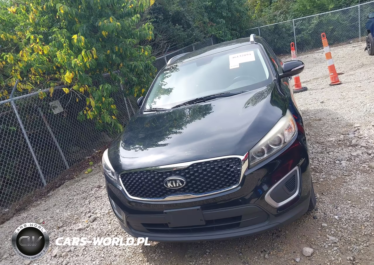 2017 Kia Sorento Lx-L VIN:5XYPGDA59HG202899 - 13