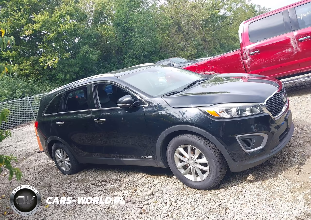2017 Kia Sorento Lx-L VIN:5XYPGDA59HG202899 - 14
