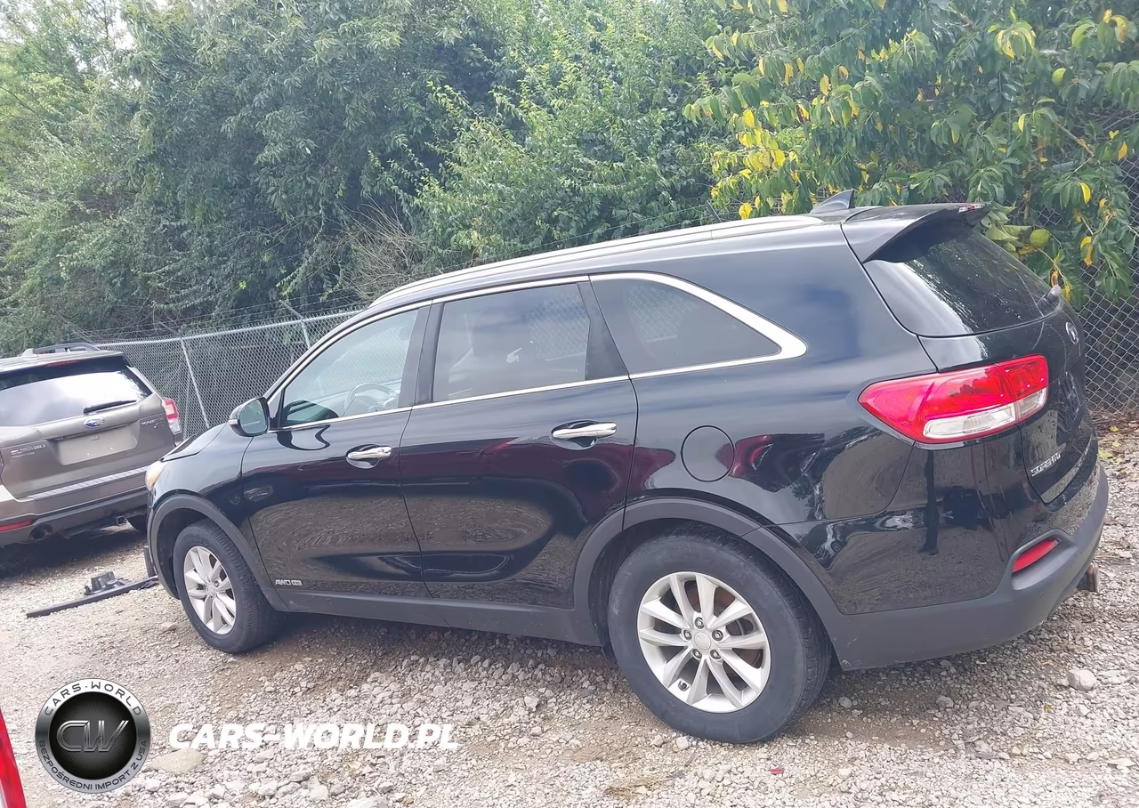 2017 Kia Sorento Lx-L VIN:5XYPGDA59HG202899 - 15