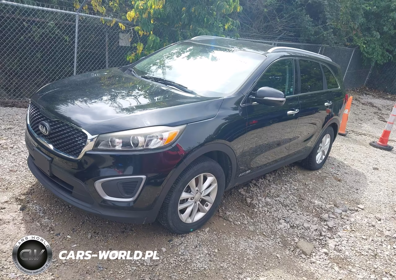2017 Kia Sorento Lx-L VIN:5XYPGDA59HG202899 - 2