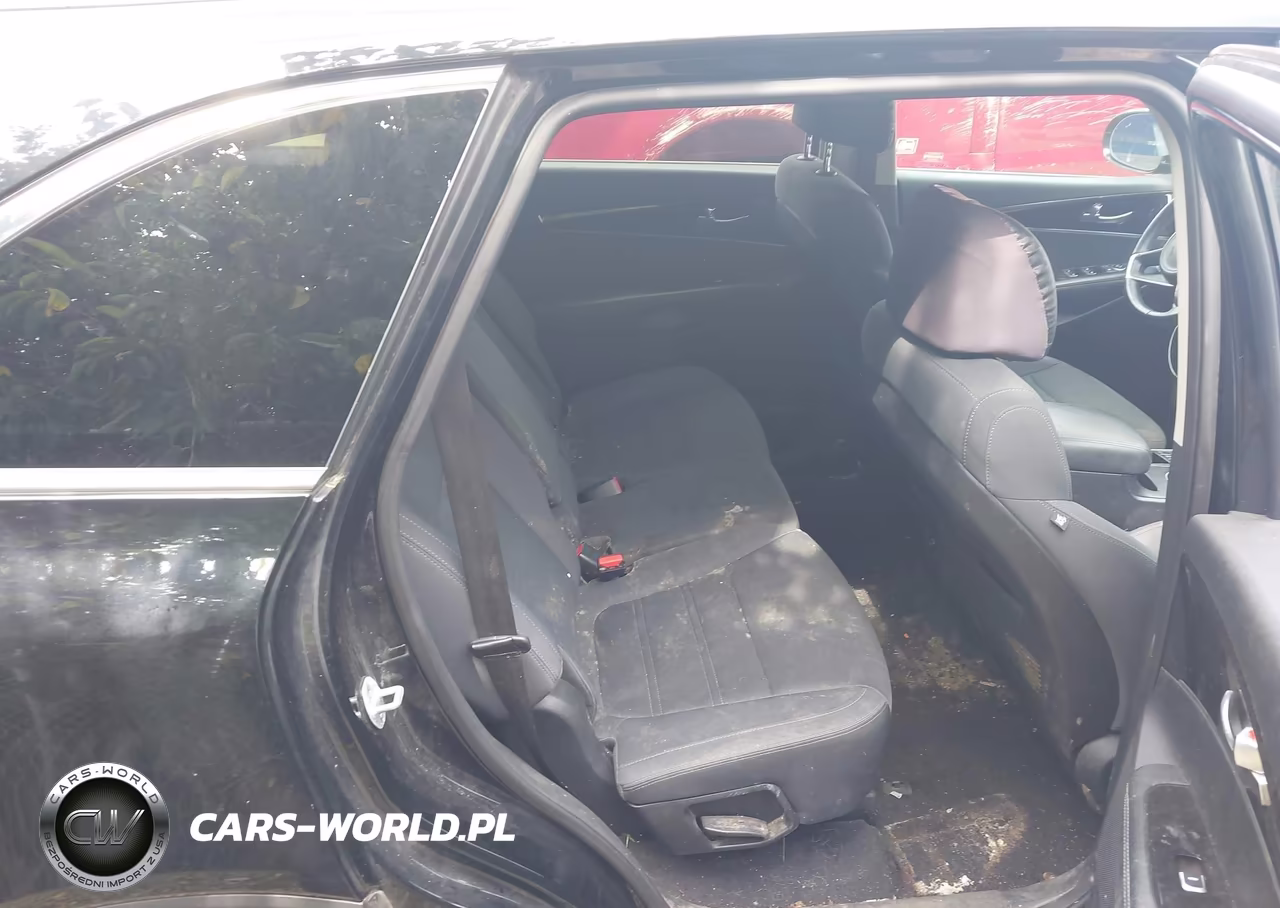2017 Kia Sorento Lx-L VIN:5XYPGDA59HG202899 - 8