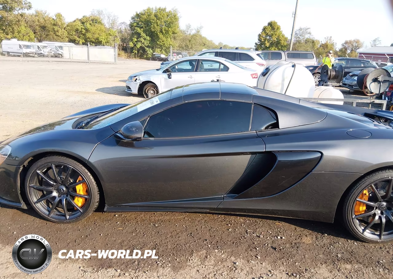 2015 Mclaren 650S VIN:SBM11FAA4FW004254 - 14