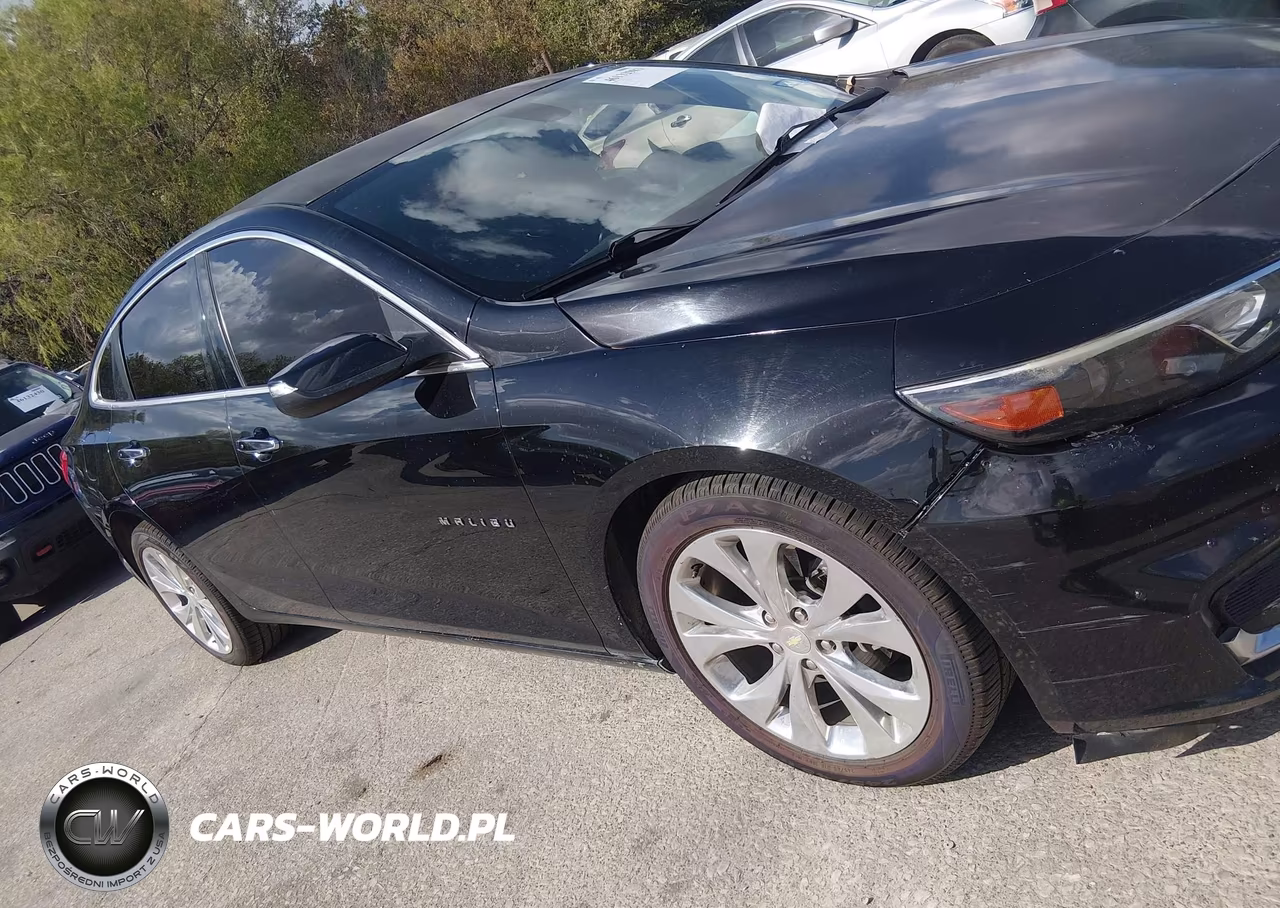 2017 Chevrolet Malibu Premier VIN:1G1ZH5SX6HF230313 - 13