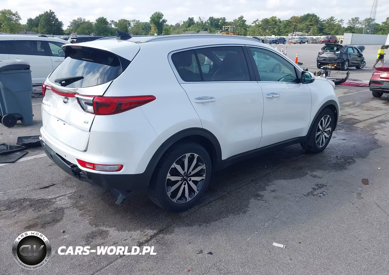 2017 Kia Sportage Ex VIN:KNDPN3AC3H7132800 - 4