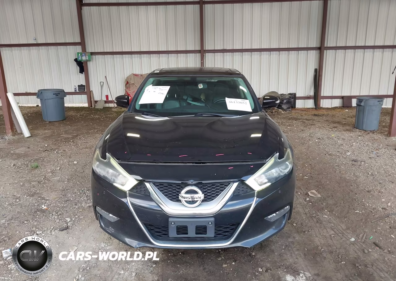 2016 Nissan Maxima 3.5 Platinum VIN:1N4AA6AP1GC413043 - 12