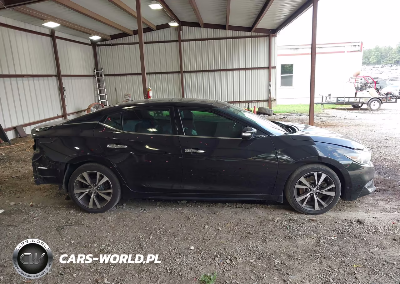 2016 Nissan Maxima 3.5 Platinum VIN:1N4AA6AP1GC413043 - 13