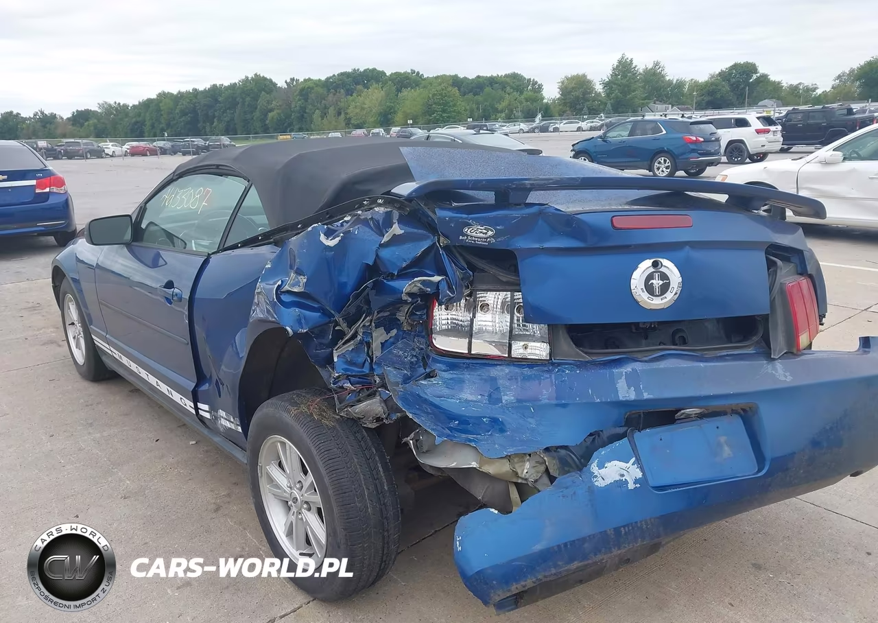 2006 Ford Mustang V6 VIN:1ZVFT84N565235301 - 12