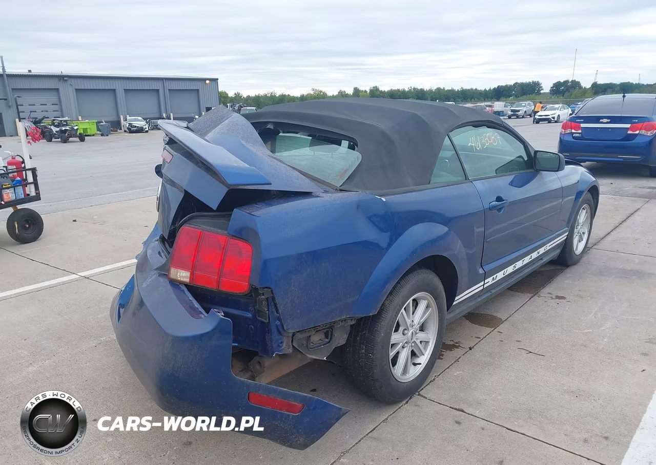 2006 Ford Mustang V6 VIN:1ZVFT84N565235301 - 6
