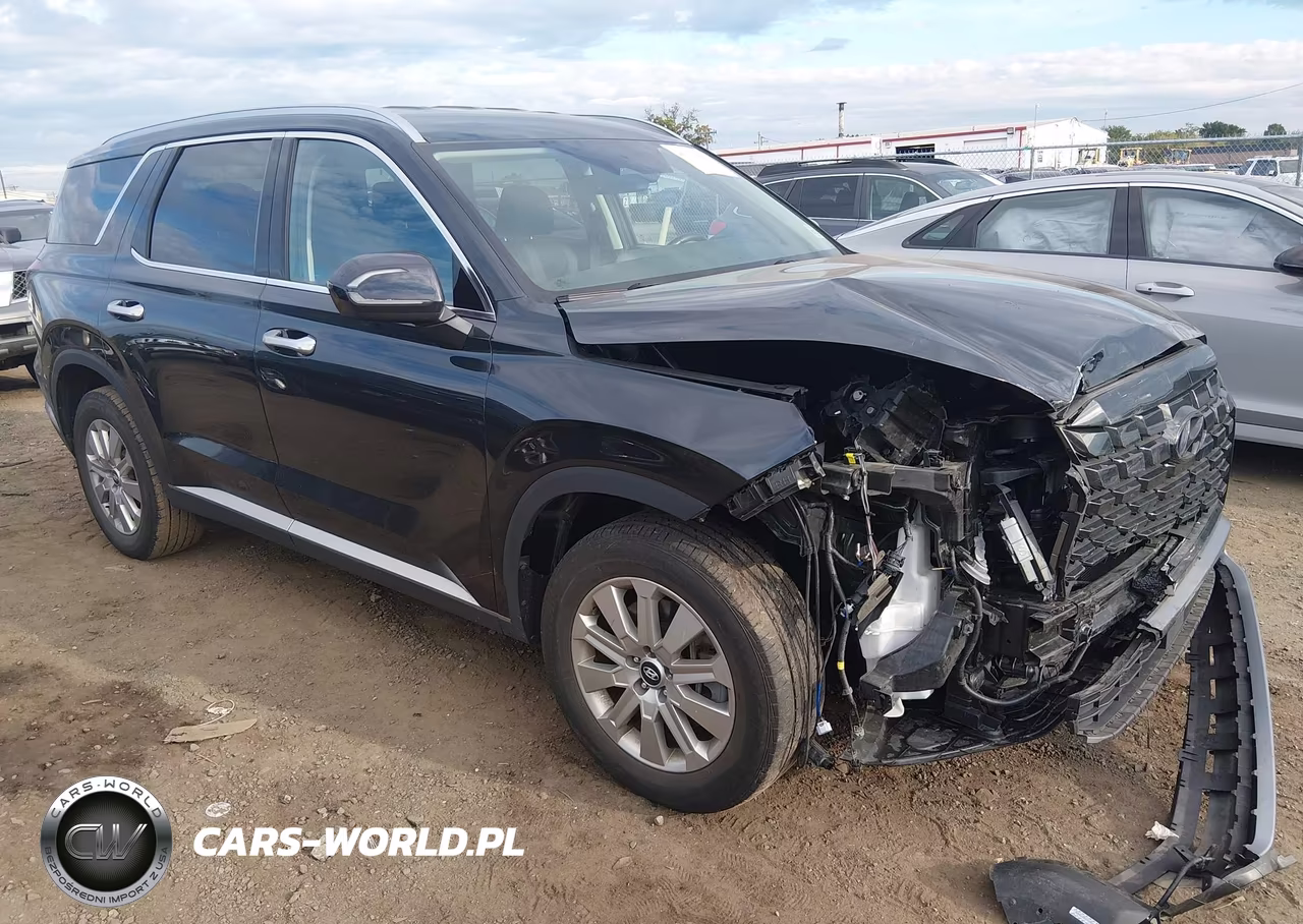 2024 Hyundai Palisade Sel VIN:KM8R24GE0RU794588 - 1