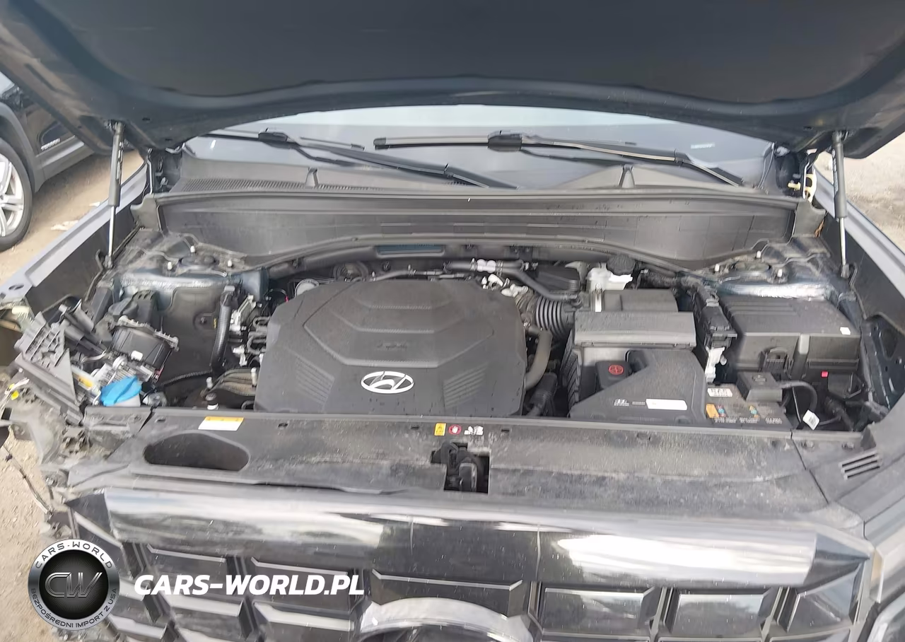 2024 Hyundai Palisade Sel VIN:KM8R24GE0RU794588 - 10