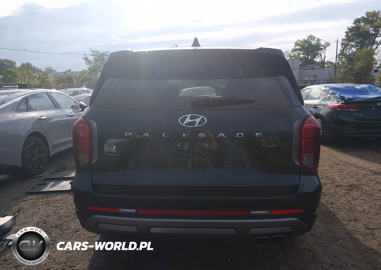 2024 Hyundai Palisade Sel VIN:KM8R24GE0RU794588 - 16