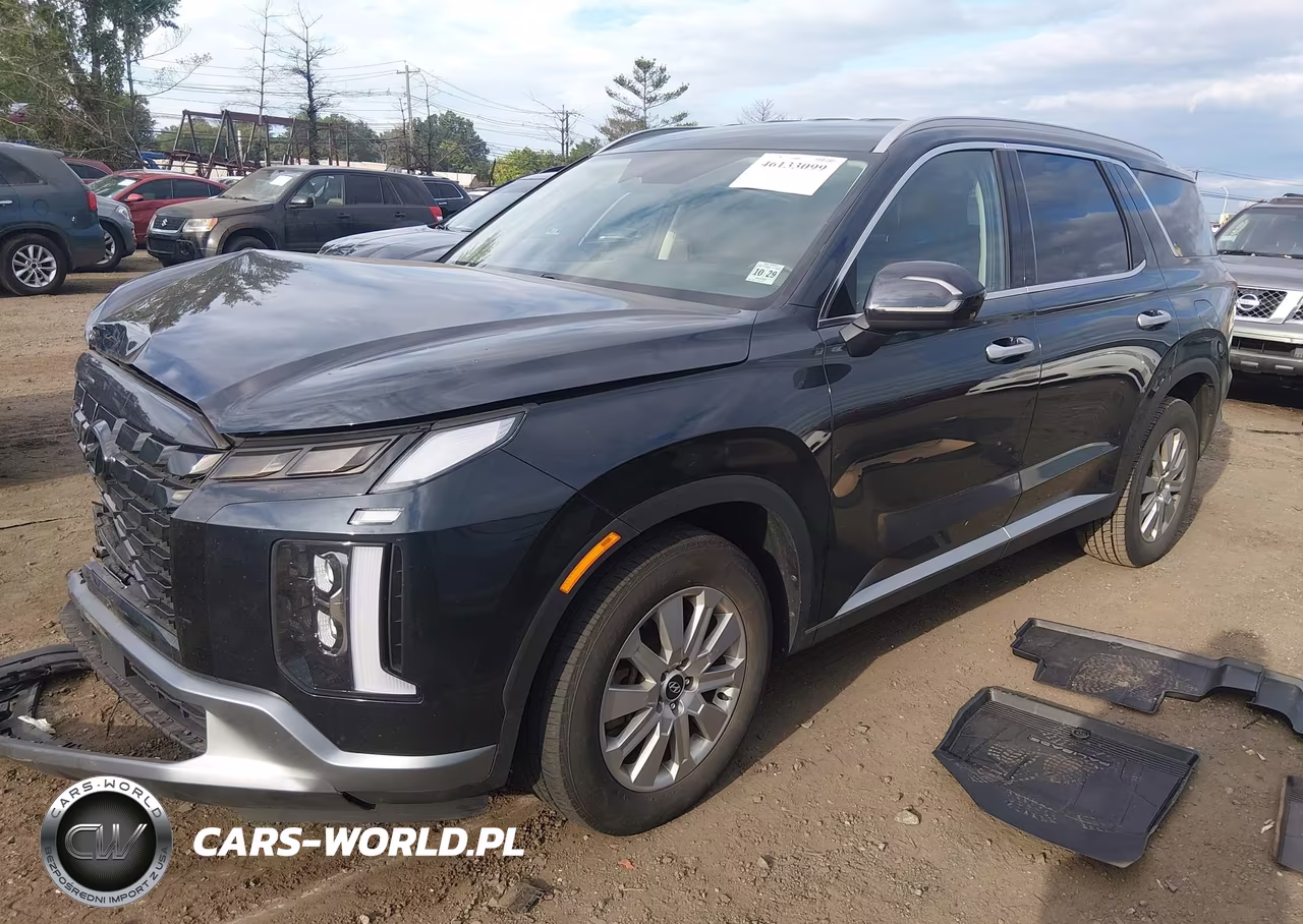 2024 Hyundai Palisade Sel VIN:KM8R24GE0RU794588 - 2