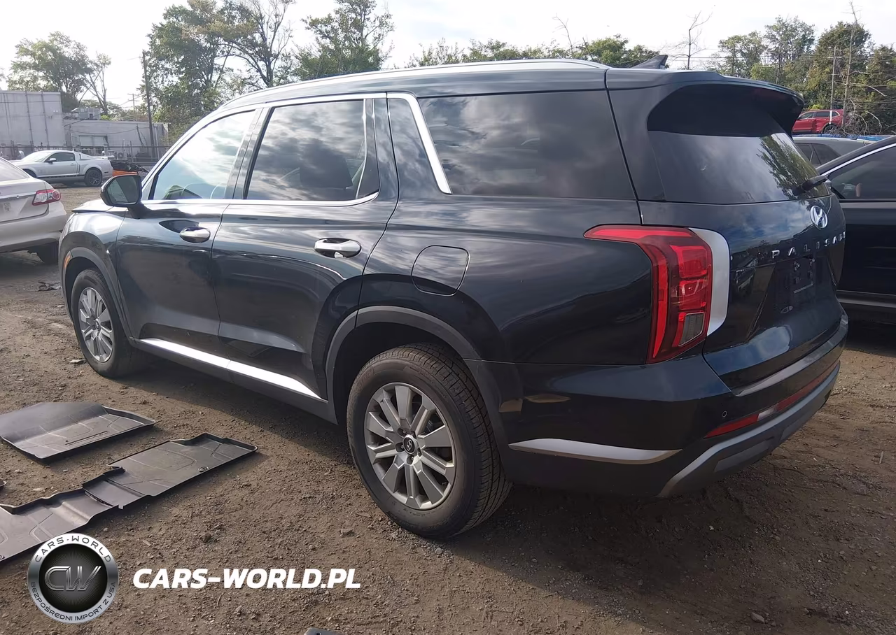 2024 Hyundai Palisade Sel VIN:KM8R24GE0RU794588 - 3