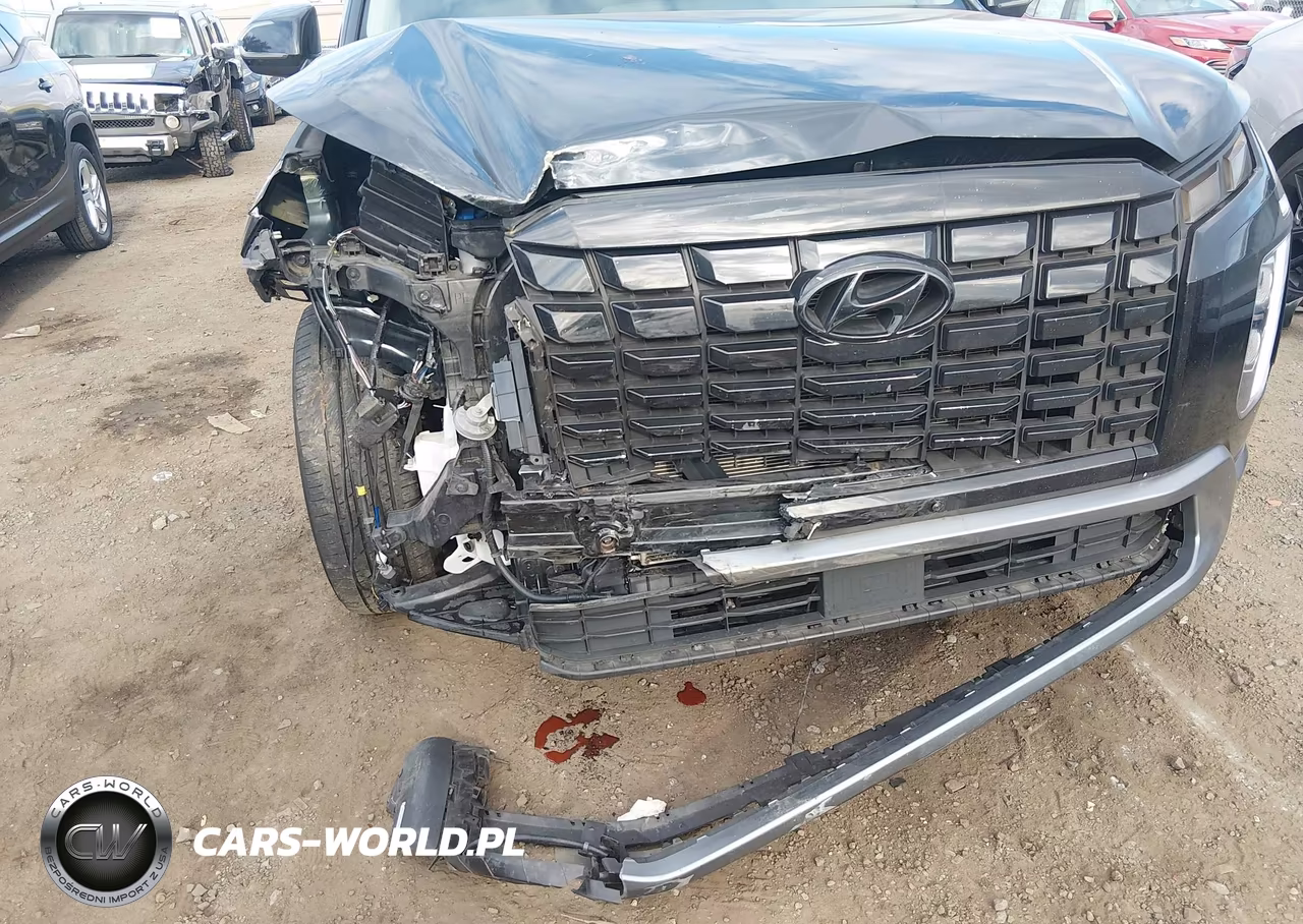 2024 Hyundai Palisade Sel VIN:KM8R24GE0RU794588 - 6
