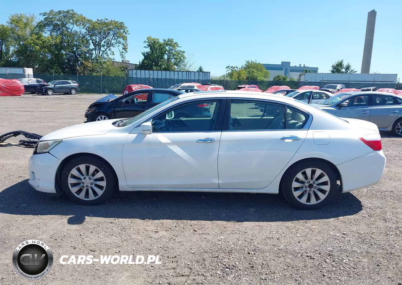 2014 Honda Accord Ex-L VIN:1HGCR2F81EA242858 - 14