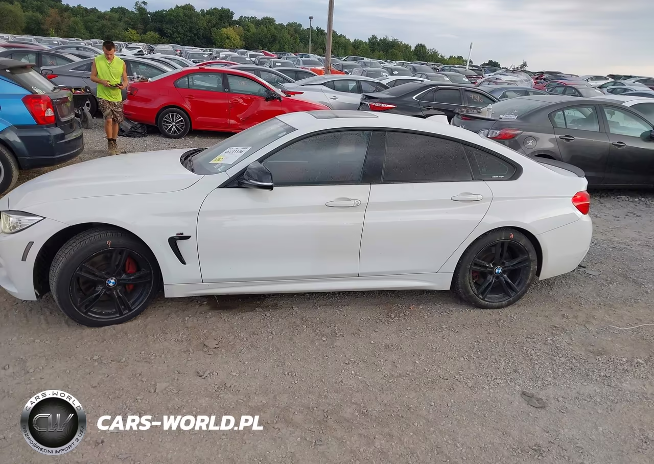 2015 BMW 435I Gran Coupe xDrive VIN:WBA4B3C56FGV48148 - 14