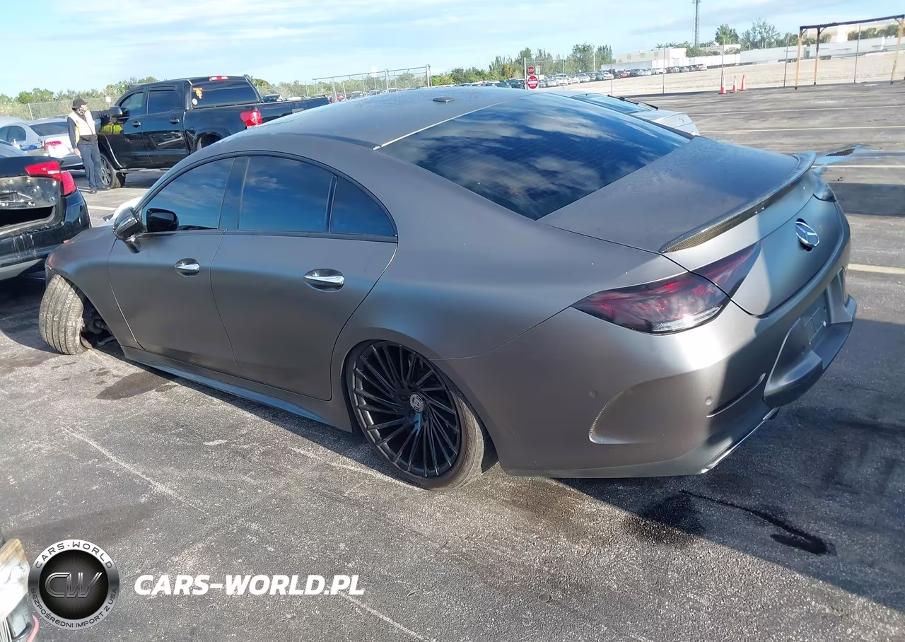 2019 Mercedes-Benz Cls 450 VIN:WDD2J5JB7KA024849 - 3