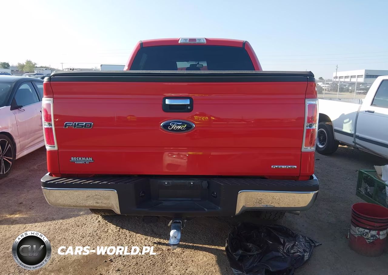 2013 Ford F-150 Xlt VIN:1FTFW1EF0DKF04425 - 17