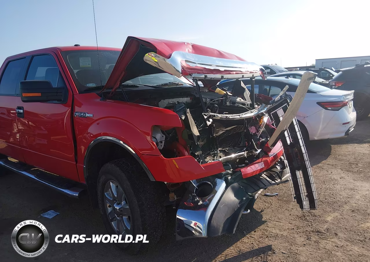 2013 Ford F-150 Xlt VIN:1FTFW1EF0DKF04425 - 19
